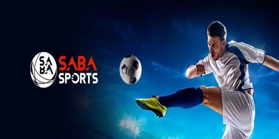 Chính Sách Điều Khoản Bảo Mật Saba Sports Chuyên Nghiệp